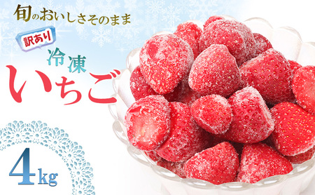いちご 白木のいちご 冷凍いちご いちご【4kg】【訳あり】