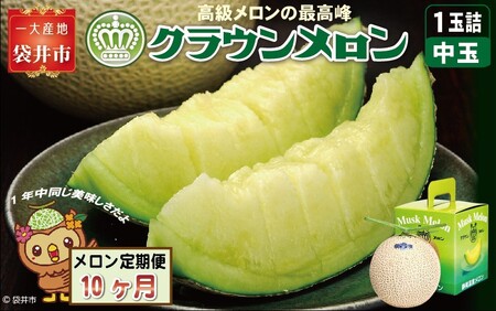 【10ヶ月定期便】クラウンメロン（白等級）中玉　1玉入 　果物 フルーツ デザート メロン マスクメロン 青肉 高級 ギフト 贈り物 静岡県産 袋井市