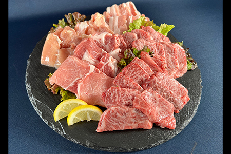 佐賀県産厳選5種焼肉盛り合わせ 600ｇ（2?3人前） J1048