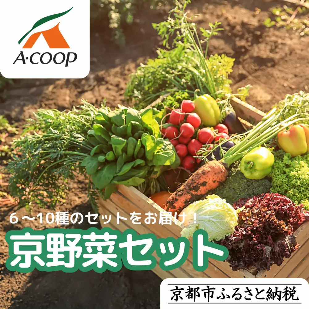【エーコープ京都中央】おまかせ京野菜セット｜野菜 新鮮 人気 スタッフ厳選 詰め合わせ