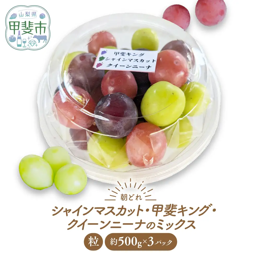 【ご家庭用つぶつぶ】ぶどう3種　約1.5㎏ シャインマスカット 山梨シャインマスカット