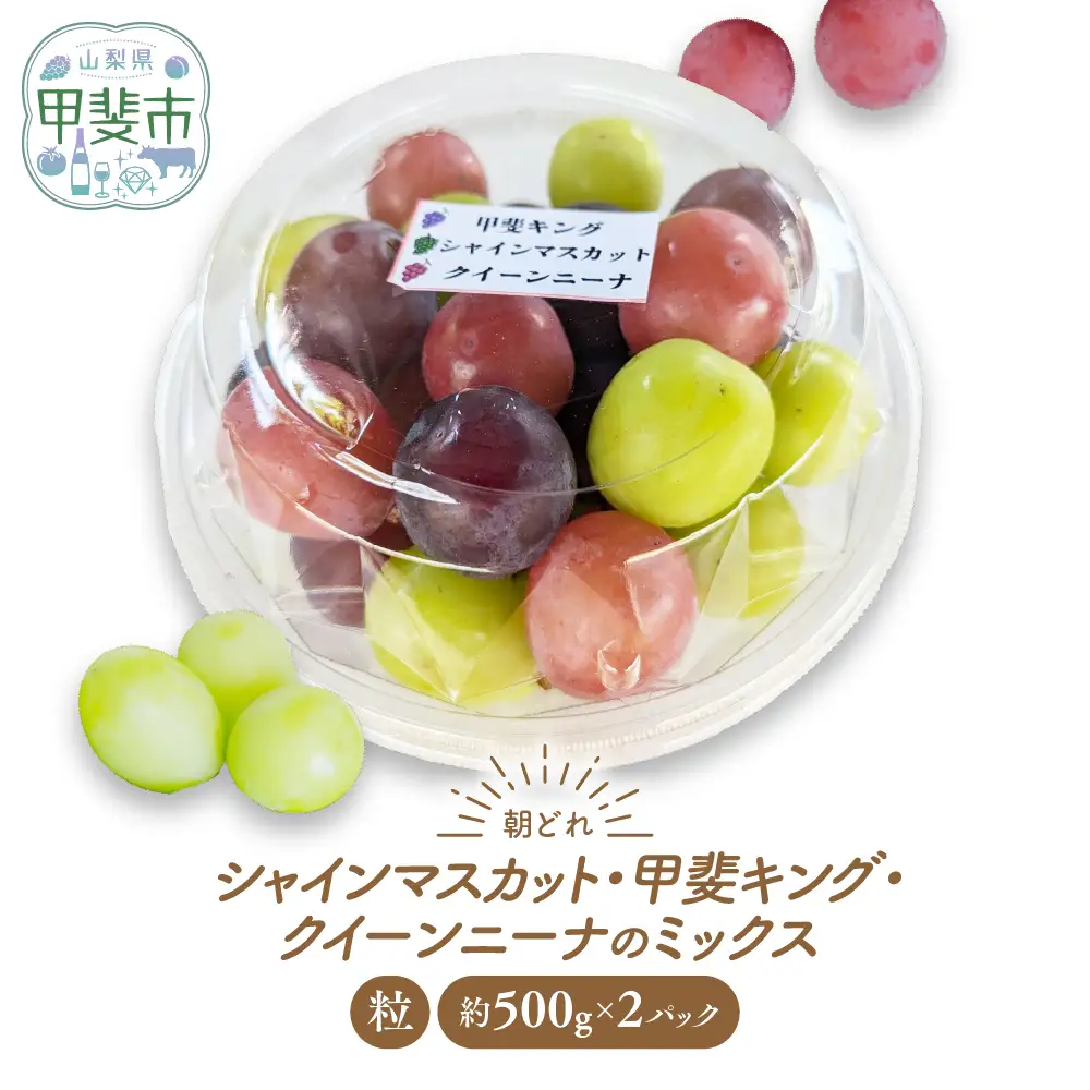 【ご家庭用つぶつぶ】ぶどう3種　約1㎏ シャインマスカット 山梨シャインマスカット