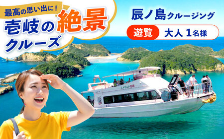 辰ノ島クルージング(辰ノ島遊覧)大人1名様分《壱岐市》【勝本町漁業協同組合】[JFN002]