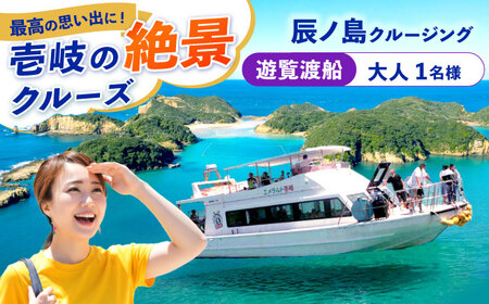 辰ノ島クルージング(辰ノ島遊覧渡船)大人1名様分《壱岐市》【勝本町漁業協同組合】[JFN003]