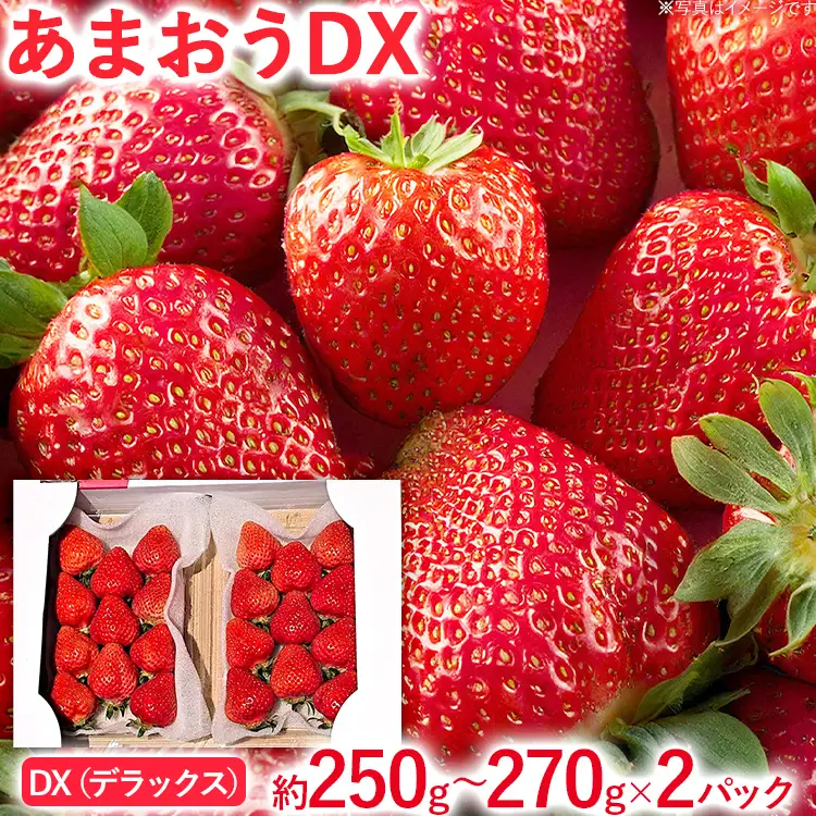 あまおうDX 約250g~約270g×2パック いちご 苺 フルーツ 果物 くだもの 福岡県 福岡 九州 グルメ お取り寄せ 【2027年2月上旬～2027年4月末頃発送予定】