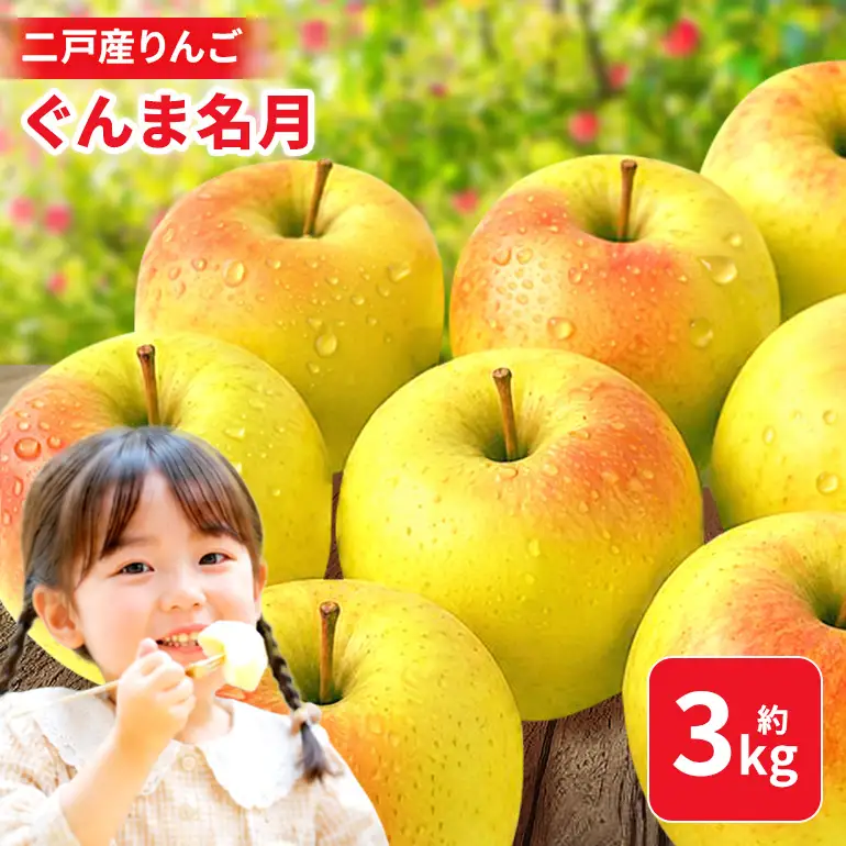 二戸産りんご ぐんま名月 約3kg 008-0784x1