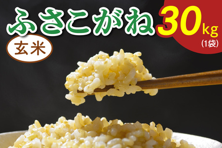 令和8年度産 ふさこがね《玄米》30kg (1袋) [0772]