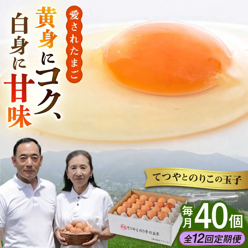 【全12回定期便】卵 40個 てつやとのりこの玉子 卵 たまご 定期便 [AWD022]
