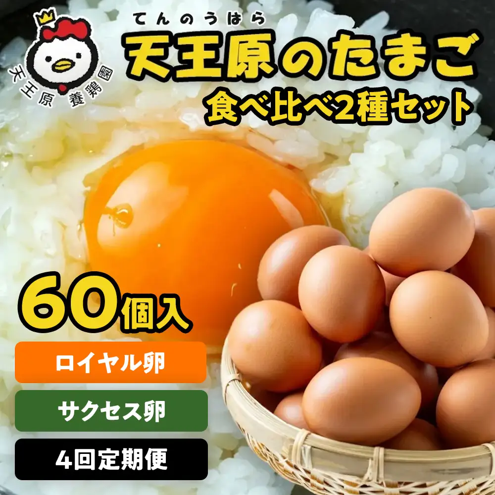 【定期便】4回定期 【天王原のたまご】 サクセス卵30個/ロイヤル卵30個