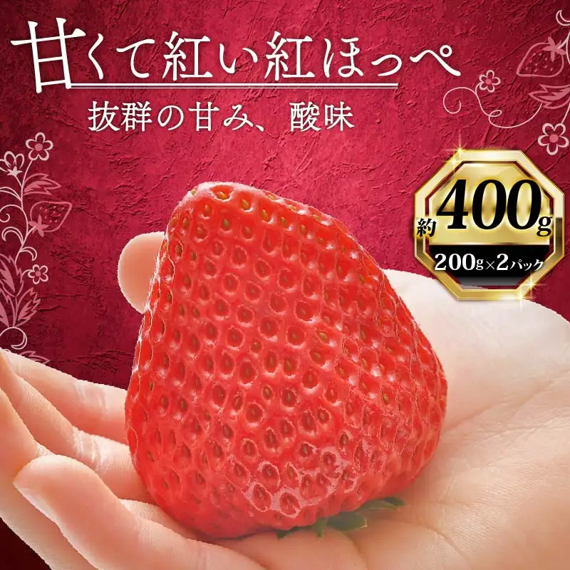 紅ほっぺ いちご 苺 400g 紅ほっぺ