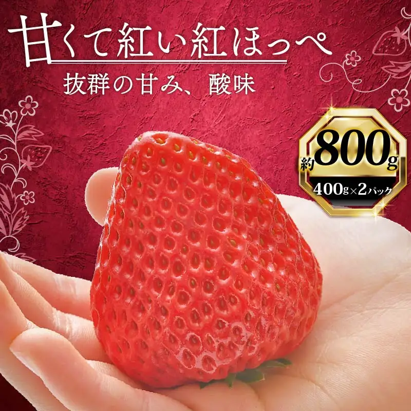 紅ほっぺ いちご 苺 800g 紅ほっぺ