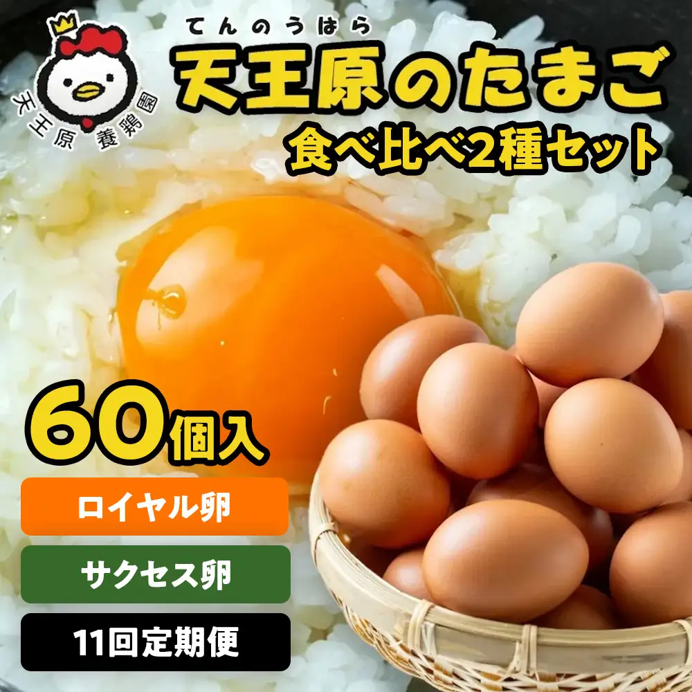 【定期便】11回定期 【天王原のたまご】 サクセス卵30個/ロイヤル卵30個