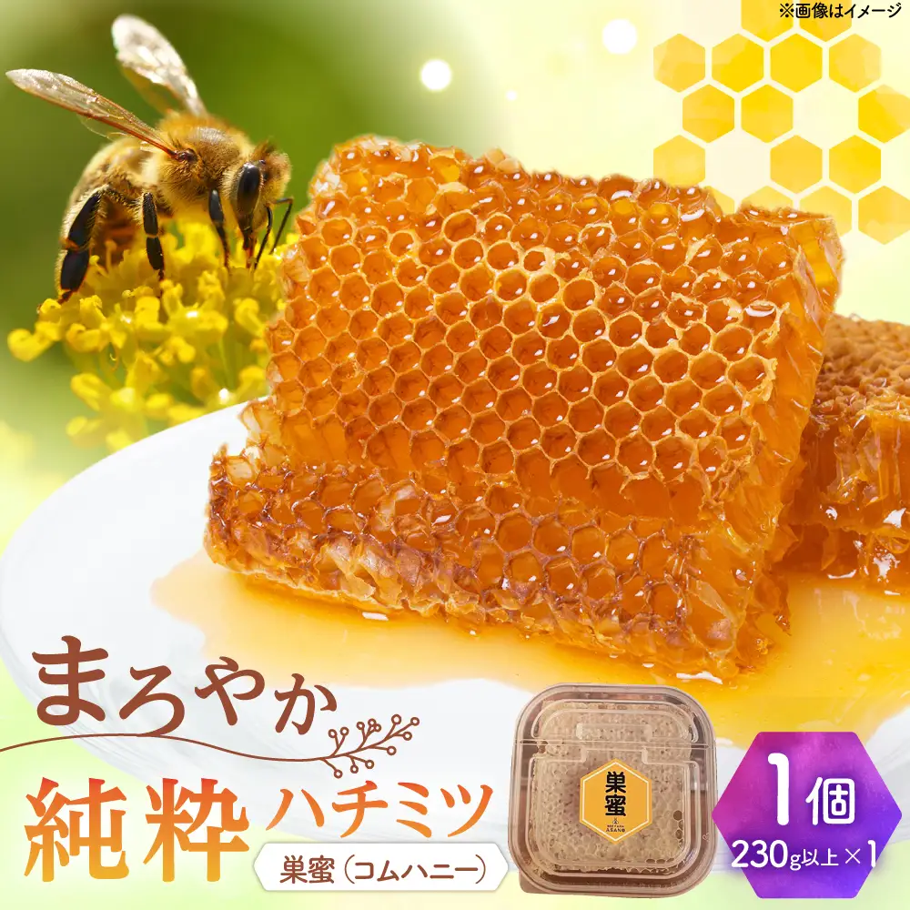 純粋ハチミツ 巣蜜（コムハニー） 瑞浪市 / honey shop Bee farm asano 蜂蜜 はちみつ[AZBT017]
