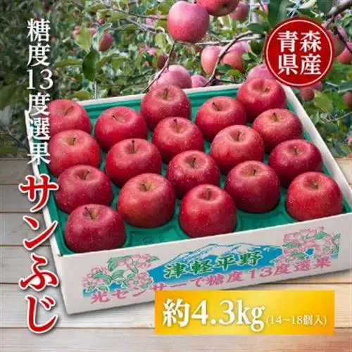 りんご/青森県産　糖度13度選果 サンふじ 約4.3kg【配送不可地域：離島】【1655307】
