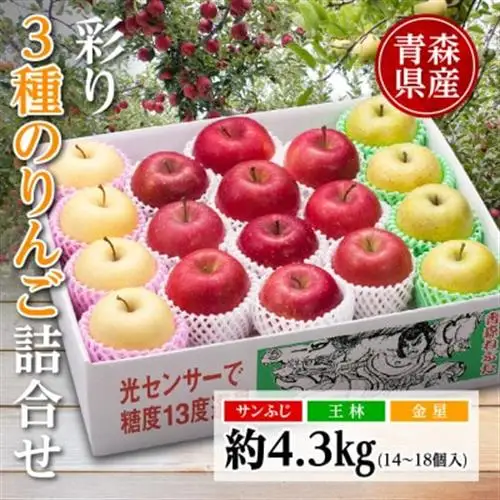 りんご/青森県産　彩り3種のりんご詰合せ 約4.3kg【配送不可地域：離島】【1655312】