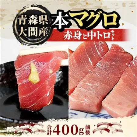 大間産本マグロ 赤身と中トロセット 各200g前後(合計400g前後)【配送不可地域：離島】【1657765】