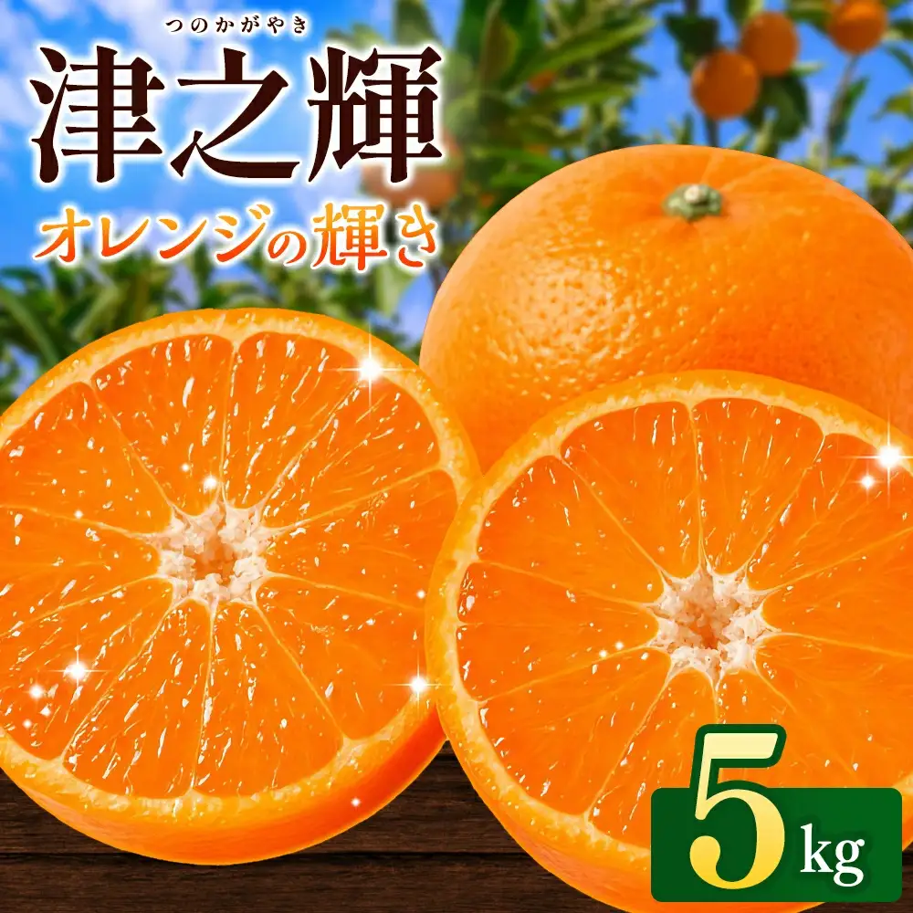 ＼先行予約／ 津の輝（つのかがやき）5kg（2027年2月以降順次発送予定） / みかん 津の輝 柑橘 かんきつ フルーツ 果物 紀州産 和歌山県 田辺市【tcs026】