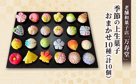 上生菓子万寿堂 季節のおまかせ 上生菓子【10種計10個】