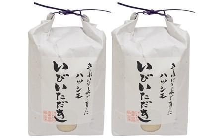 ＪＡいび川プレミアム米「いびいただき」/白米10kg お米 