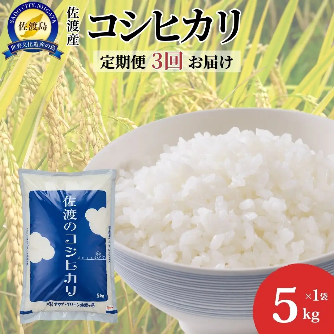 【令和7年産】【定期便3回】 佐渡産コシヒカリ 5kg