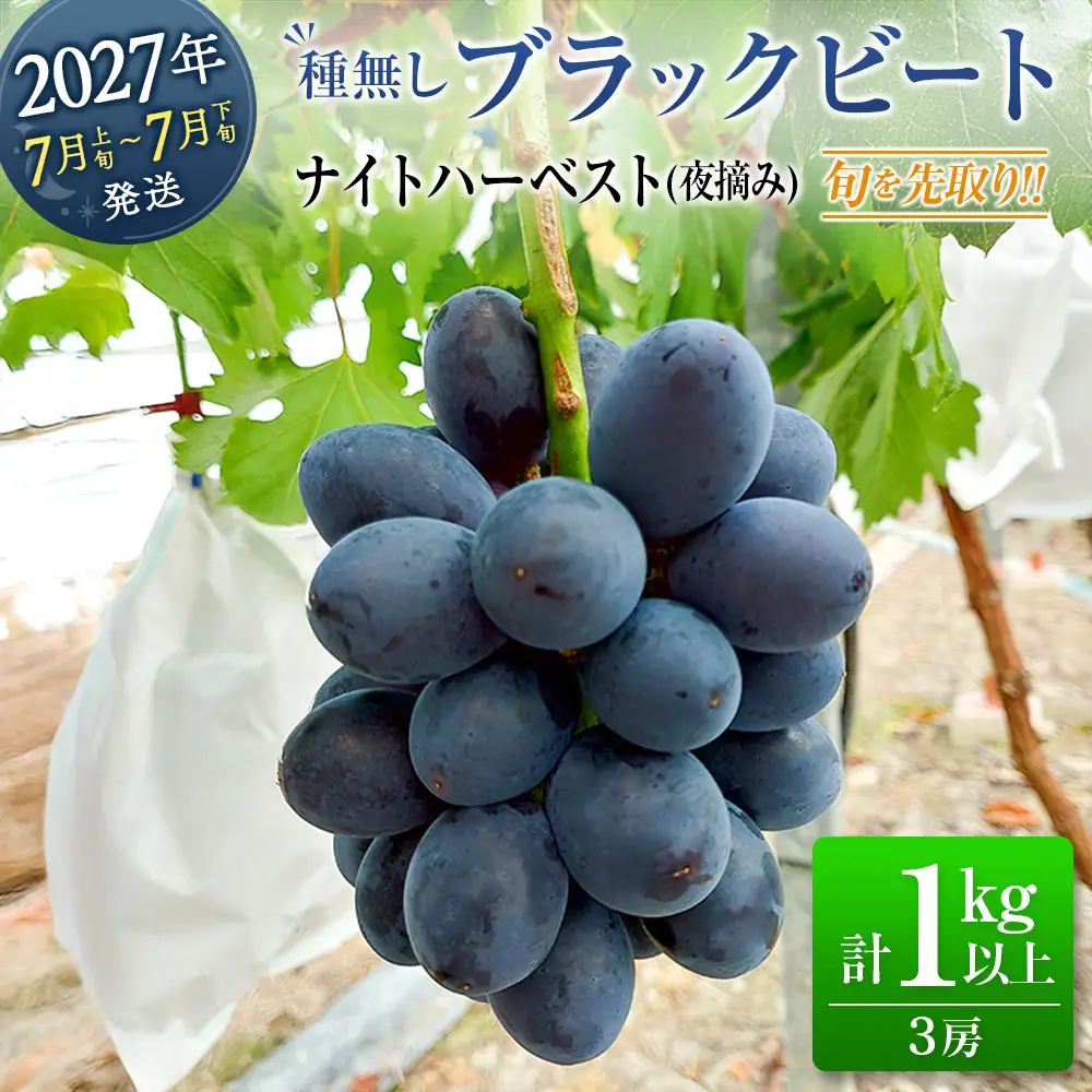 ［ご自宅・ご家庭用］ぶどう 2027年収穫・発送 ナイトハーベスト（夜摘み）種なし『ブラックビート』計1kg以上 3房以上 希少 人気 ブドウ フルーツ 果物【B682-27】