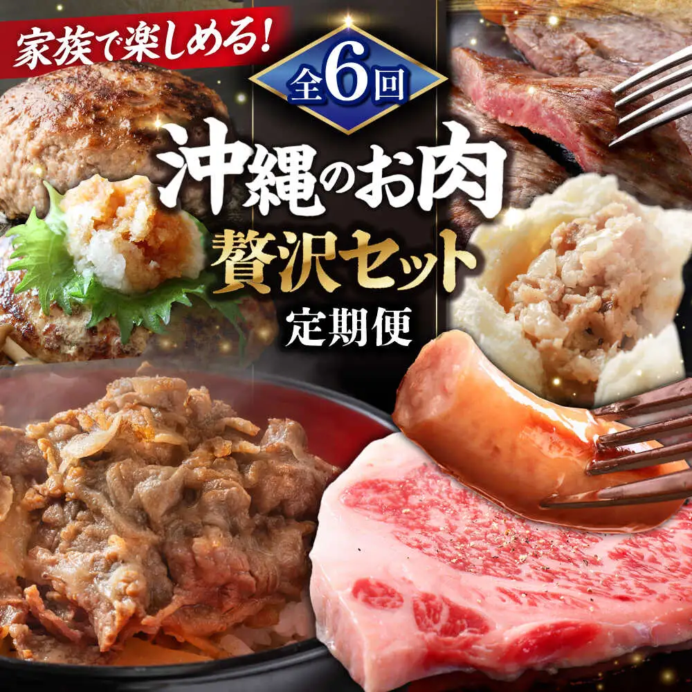 【全6回定期便】沖縄のお肉贅沢セット ハンバーグ あぐー 石垣牛 ステーキ 焼肉 冷凍