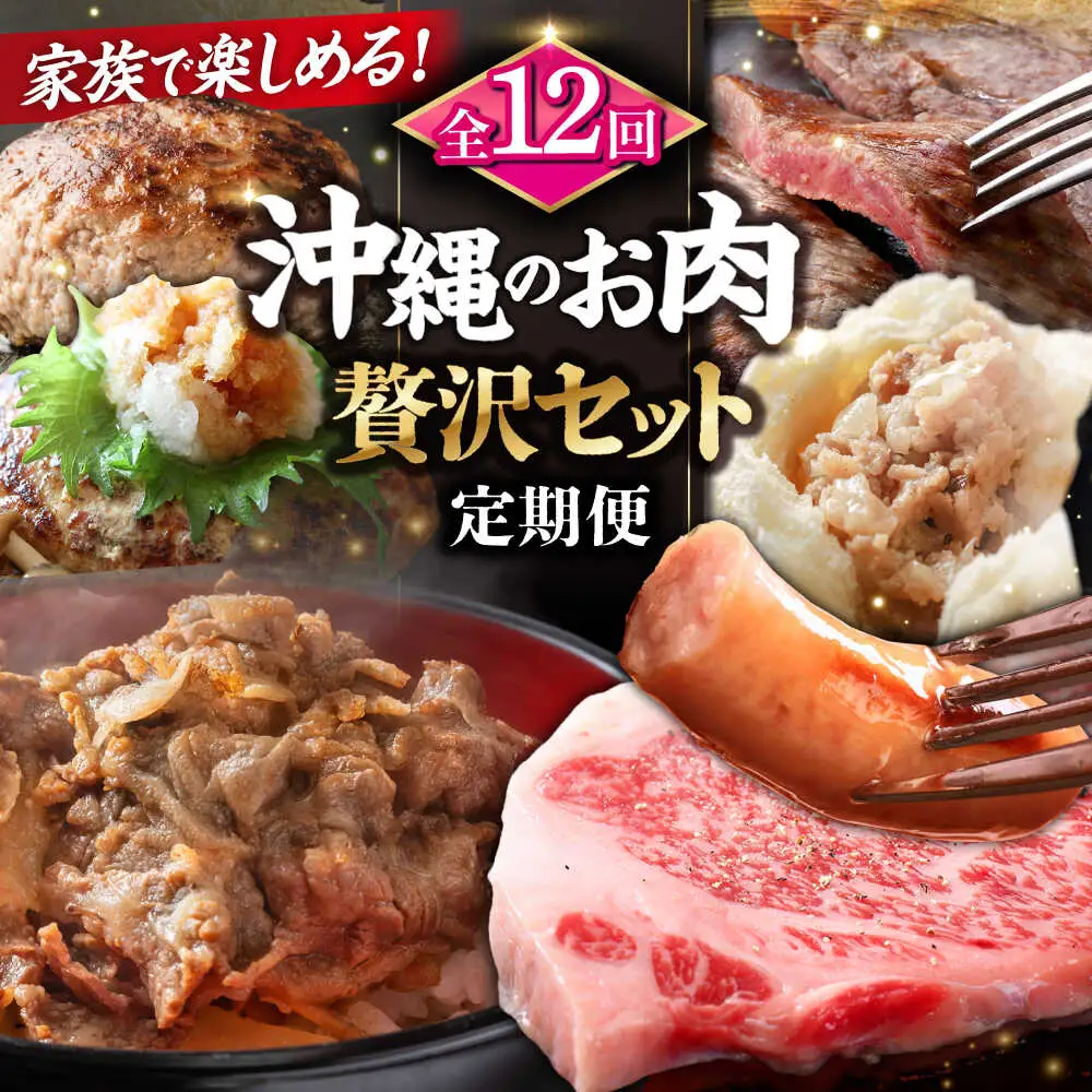 【全12回定期便】家族で満喫！沖縄のお肉贅沢セット【沖縄市】ハンバーグ あぐー 石垣牛 ステーキ 焼肉 冷凍 ギフト お取り寄せ 沖縄市 / お肉屋本店 / 豚々茶舗 / TESIO / 肉のサブロー[BCZZ035]