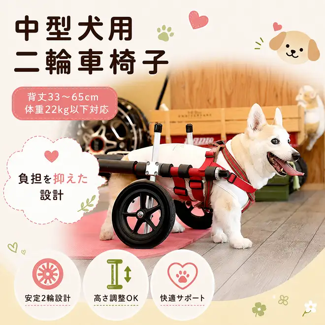 犬用車椅子 中型犬用 二輪 犬用車椅子【背丈33〜65cm 体重22kg以下】【要事前相談】