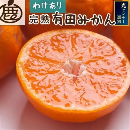 家庭用 完熟有田みかん5kg+250g(傷み補償分)【光センサー選果】【訳あり】【配送不可地域：離島・北海道・沖縄県】【1664248】