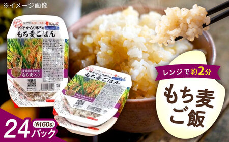 もち麦ごはん 24P BKAD007 パックごはん