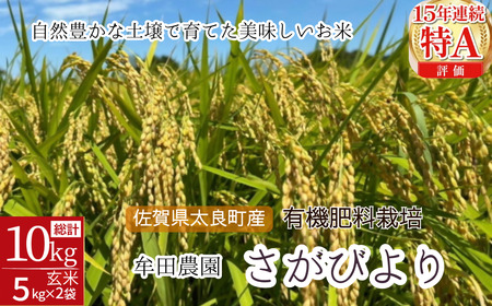 佐賀県太良町産?牟田農園のさがびより（５kg×２袋）＜玄米＞ 米 さがびより 牟田農園 佐賀県 太良町 P123