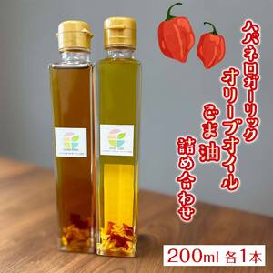 ハバネロガーリックオリーブオイル(200ml)・ハバネロガーリックごま油(200ml)詰め合わせ 【2026年12月上旬より発送予定】 EB8-0429