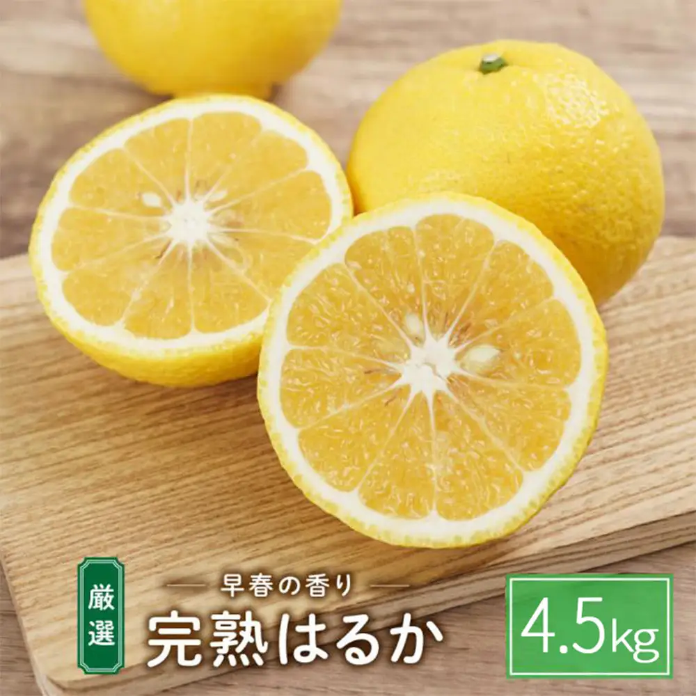 完熟はるか 4.5kg ドルチェみかん