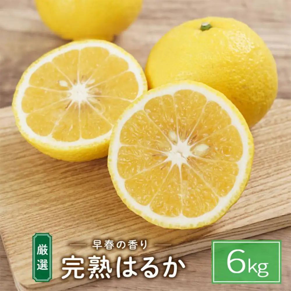 完熟はるか 6kg ドルチェみかん