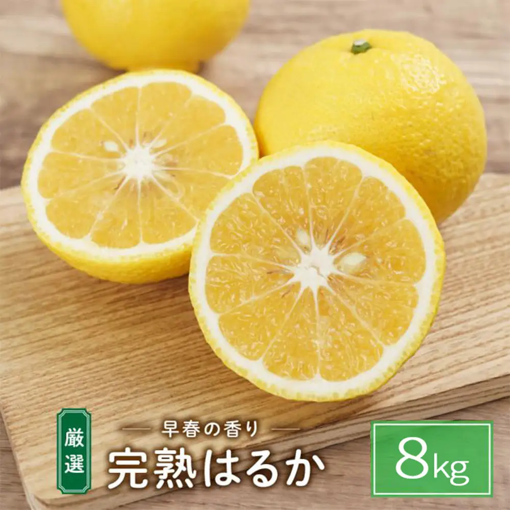 完熟はるか 8kg ドルチェみかん
