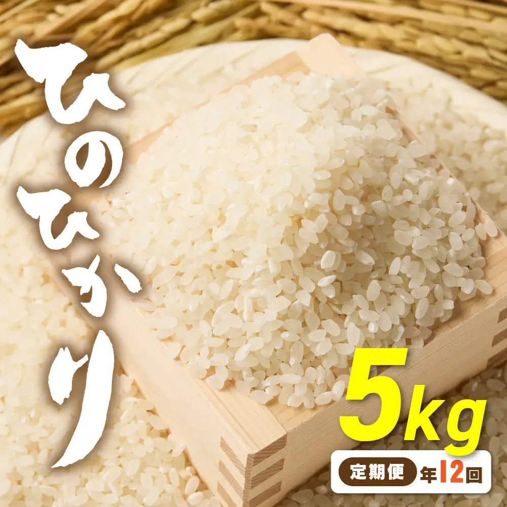 令和7年産 【定期便/年12回】「ひのひかり」5kg【ほたるの里】_HB0197