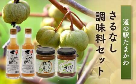 【道の駅たまかわ】 さるなし調味料セット FT18-177