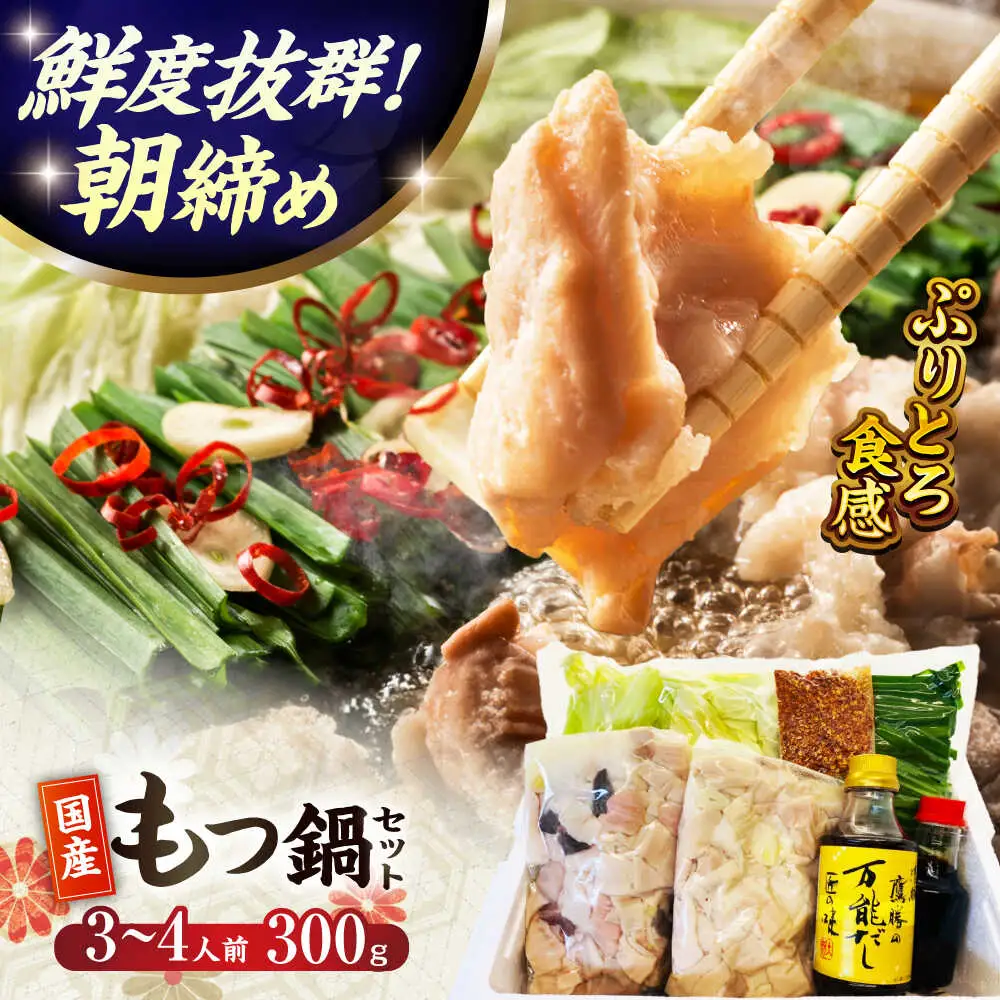 鷹勝 和風もつ鍋 3-4人前 300g VAK015 牛もつ鍋 モツ