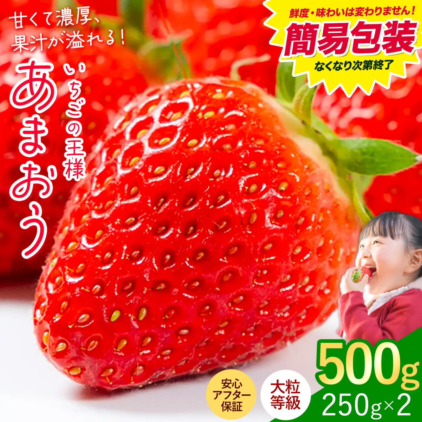 あまおう いちご 500g 簡易包装版 | 福岡県鞍手町 | ふるさと納税