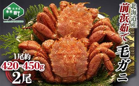 【12/27~12/31にお届け】北海道 毛ガニ 容量が選べる 前浜茹で毛がに 約420g～450g 2尾 かに カニ 蟹 ガニ がに 森町 毛蟹 毛かに 毛がに 毛カニ 毛ガニ mr1-1516