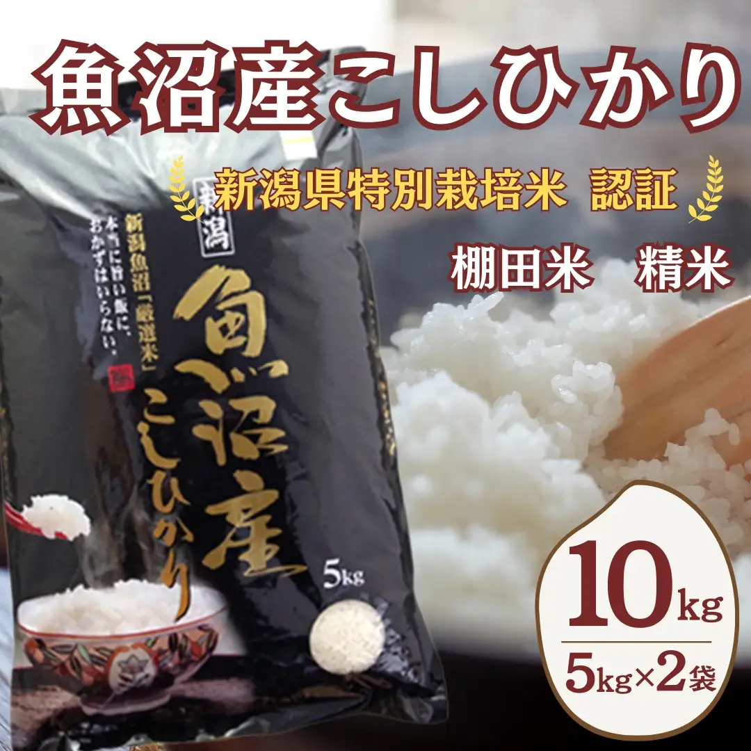 魚沼の棚田育ち コシヒカリ 佐藤農場 | 白米 新潟県 魚沼 令和7年 コシヒカリ
