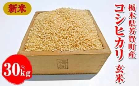 令和8年産新米 栃木県芳賀町産 コシヒカリ 玄米 30kg｜米 お米 新米 コメ こめ 国産 産地直送 旬 期間限定 季節限定 送料無料《2026年9月下旬-2027年1月下旬頃出荷予定》