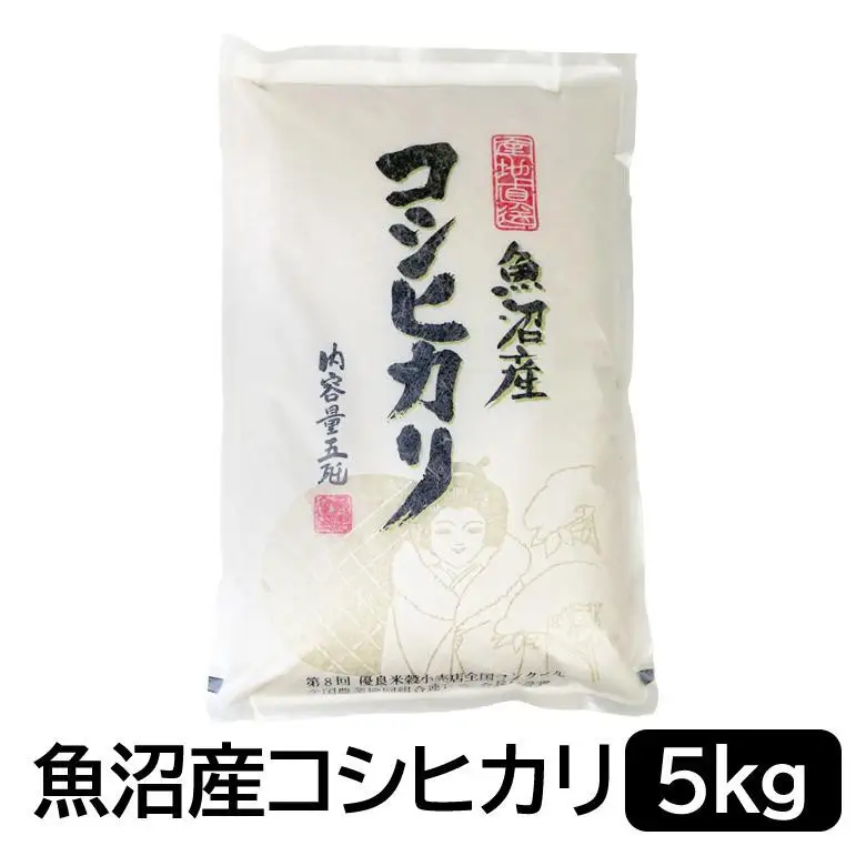 お米マイスター厳選！魚沼産コシヒカリ５kg×隔月6ヶ月 定期便 新潟県