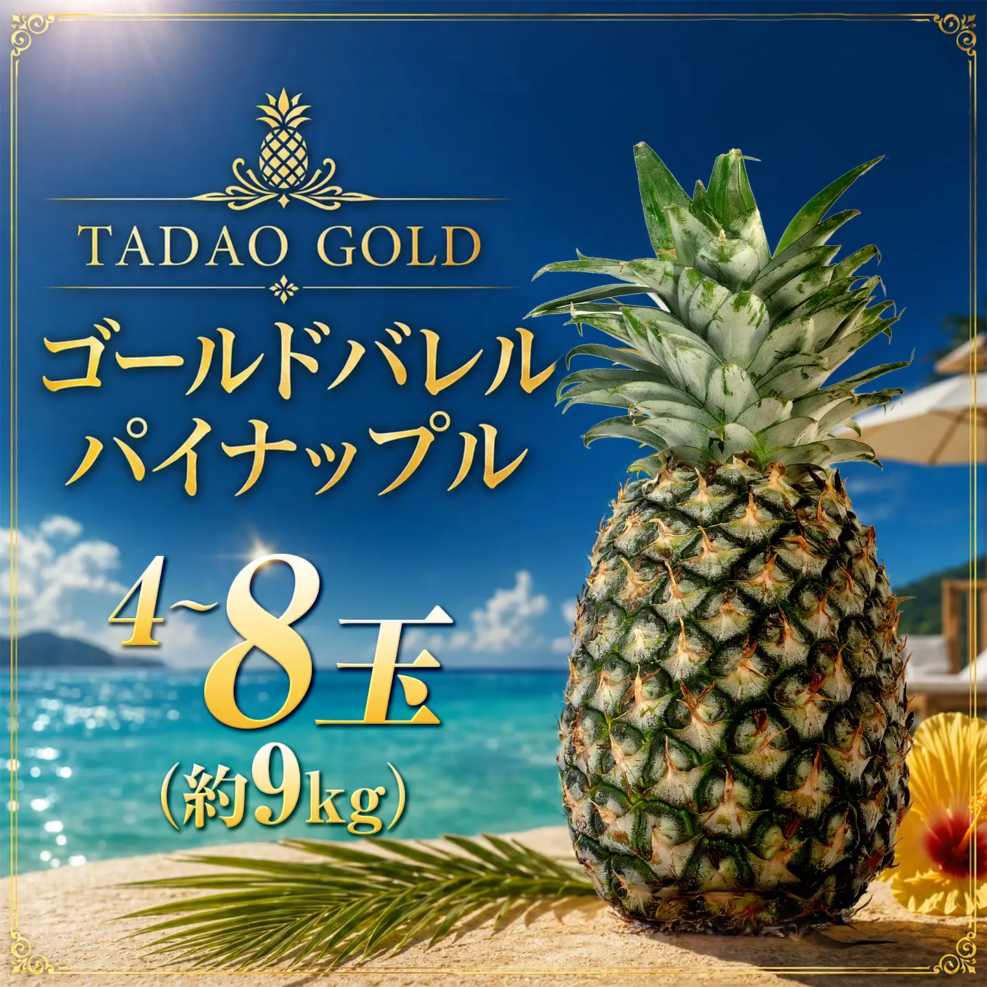 パイナップル TADAO GOLD 4～8玉 約9kg（多冠芽含む）