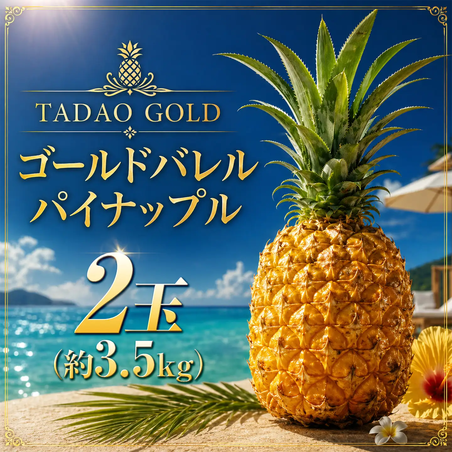 パイナップル TADAO GOLD 2玉 約3.5kg（多冠芽含む）