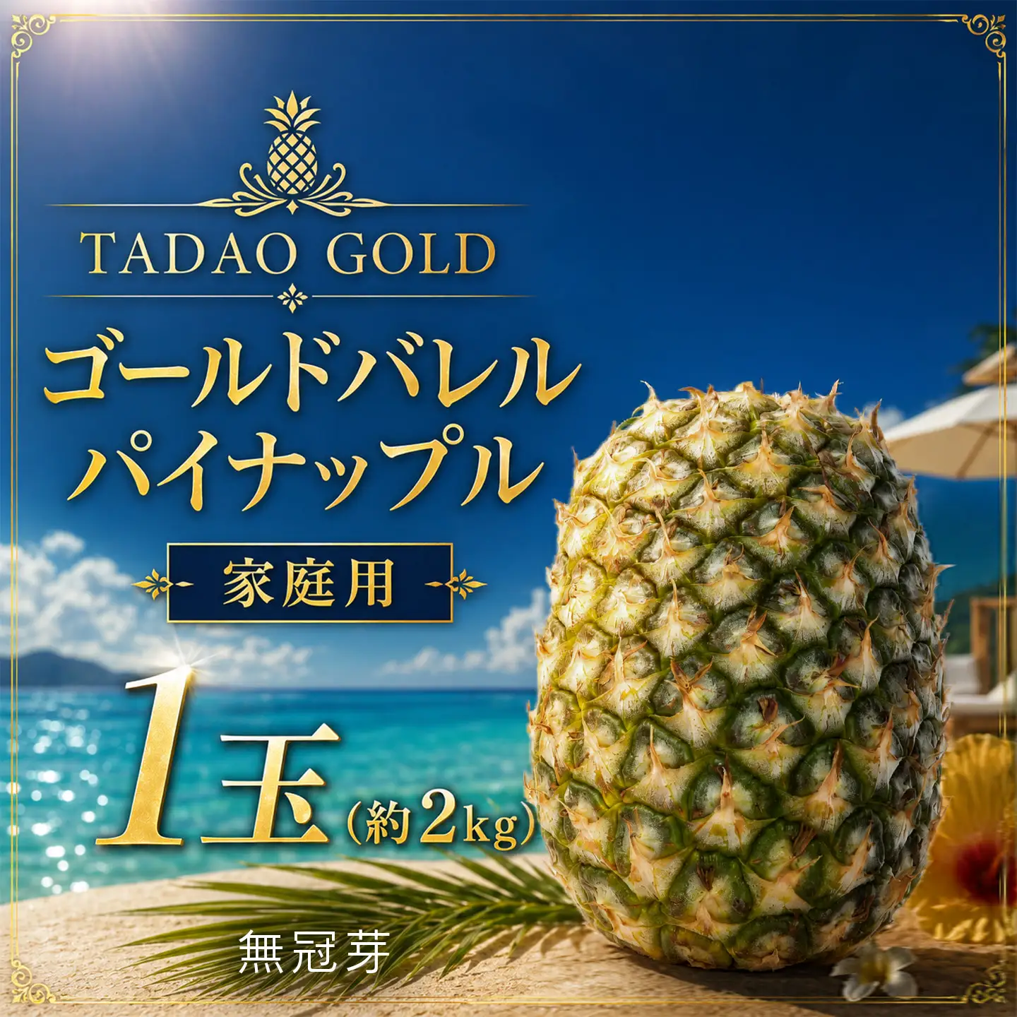 パイナップル TADAO GOLD 家庭用 無冠芽 1玉 約2kg