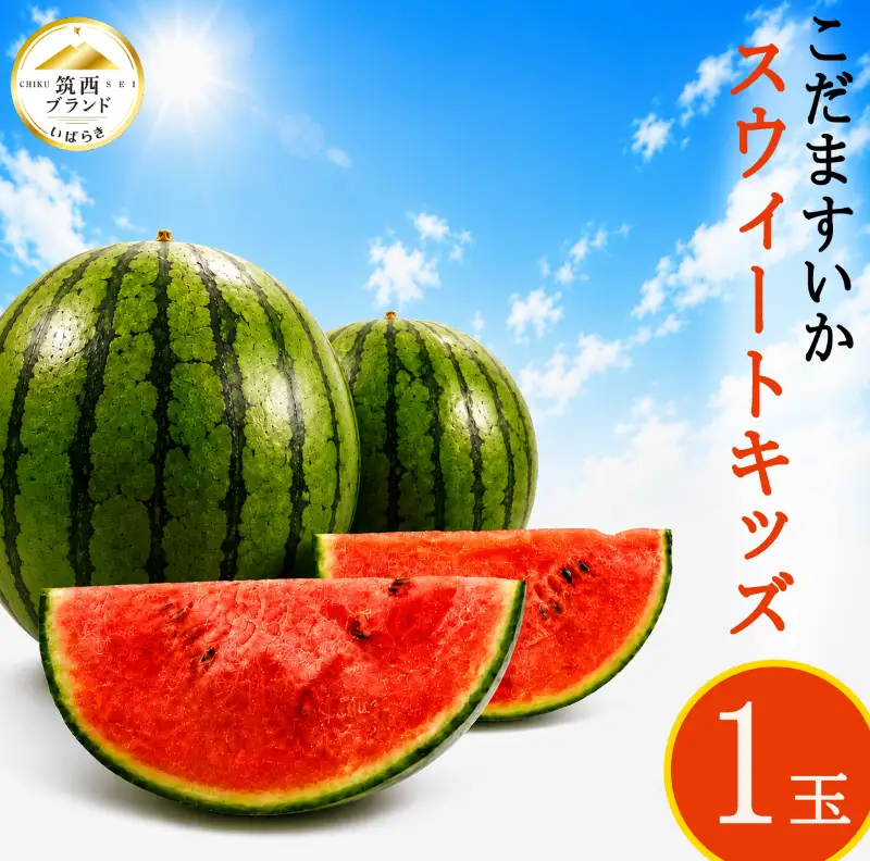 【2027年先行受付】【 JA北つくば 】 こだますいか 「 スウィートキッズ 」 1玉