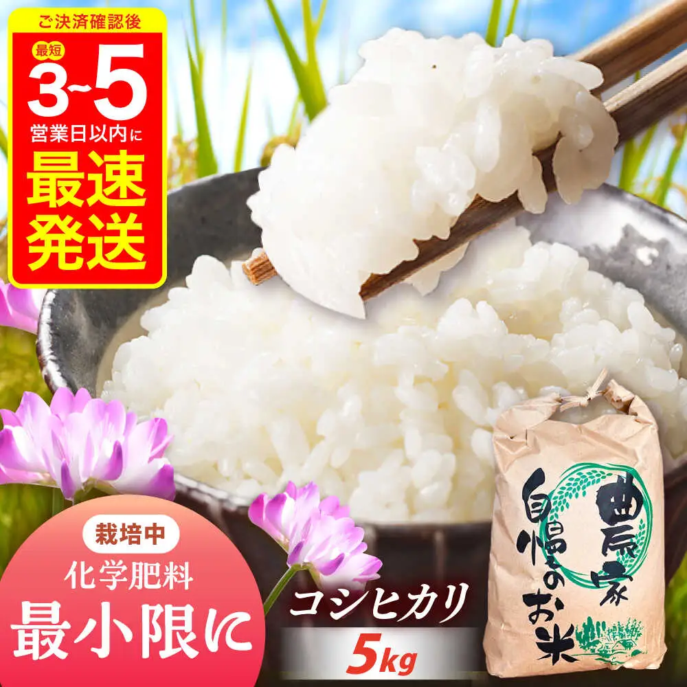 新米 コシヒカリ 5kg【スピード配送】/ 恵那市 / トモファーム [AUCA003] コシヒカリ