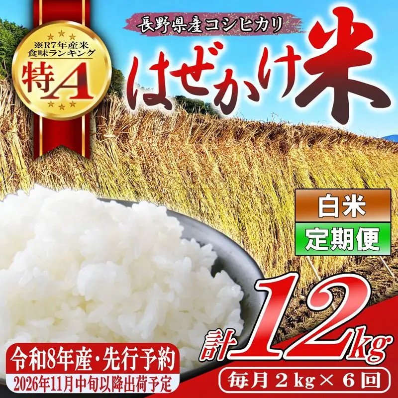 【令和8年産・白米2kg×6ヶ月定期便】長野県産こしひかり はぜかけ米（北海道・沖縄県・離島は配送不可）  【先行予約・2026年11月下旬以降発送】　精米 2026年産 産地直送 信州 長野県 佐久市 美味しい うるち米 先行予約