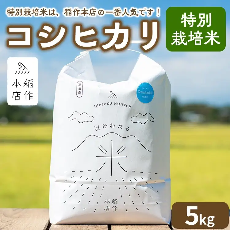 【令和7年産】特別栽培米 コシヒカリ 5kg 〔P-288〕 | こしひかり 米 お米 コメ こめ 精米 濃厚 甘い 国産 那須 栃木県 那須町 ※2025年10月下旬頃より順次発送予定
